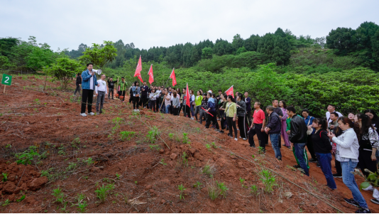 省AG尊时凯龙人生就博集团开展龙泉山城市森林公园 “包山头”植树活动